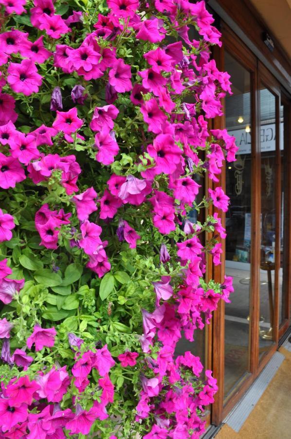 Hotel Igea Padova